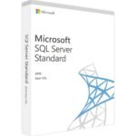 SQL Server 2019 Standard 1 User CAL License
